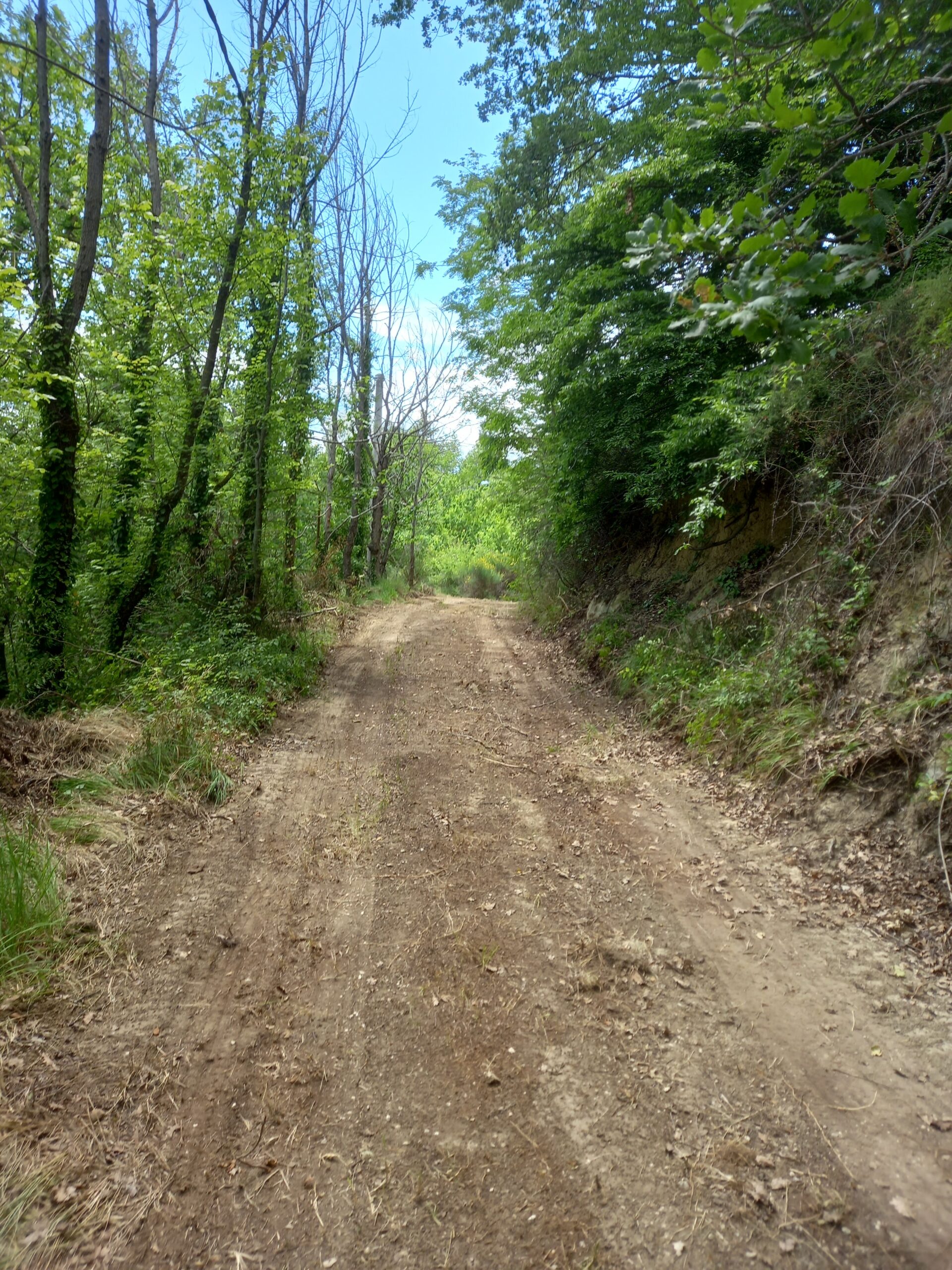 Progetto Canapa e Territorio