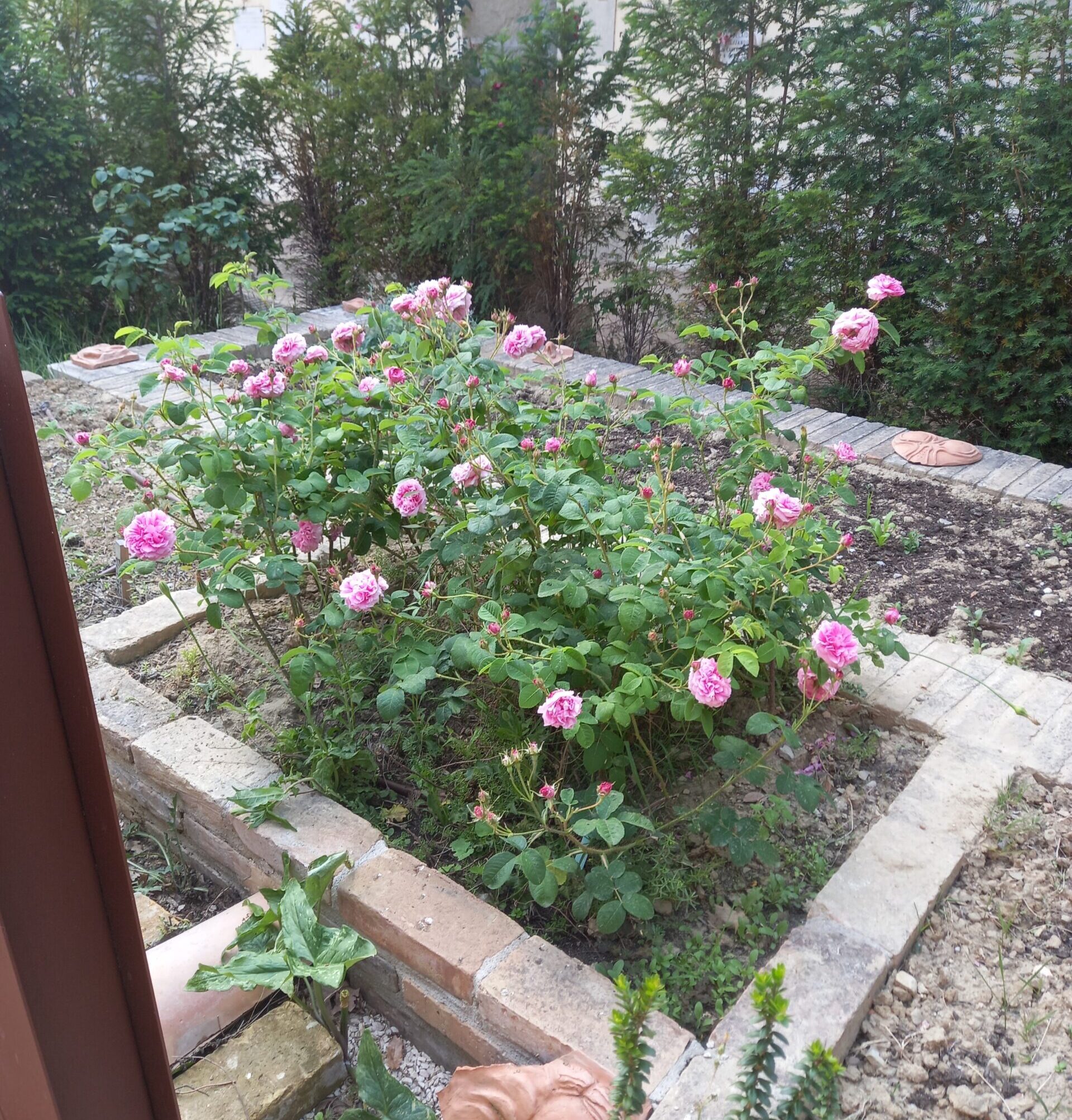 Il Giardino di Sybille