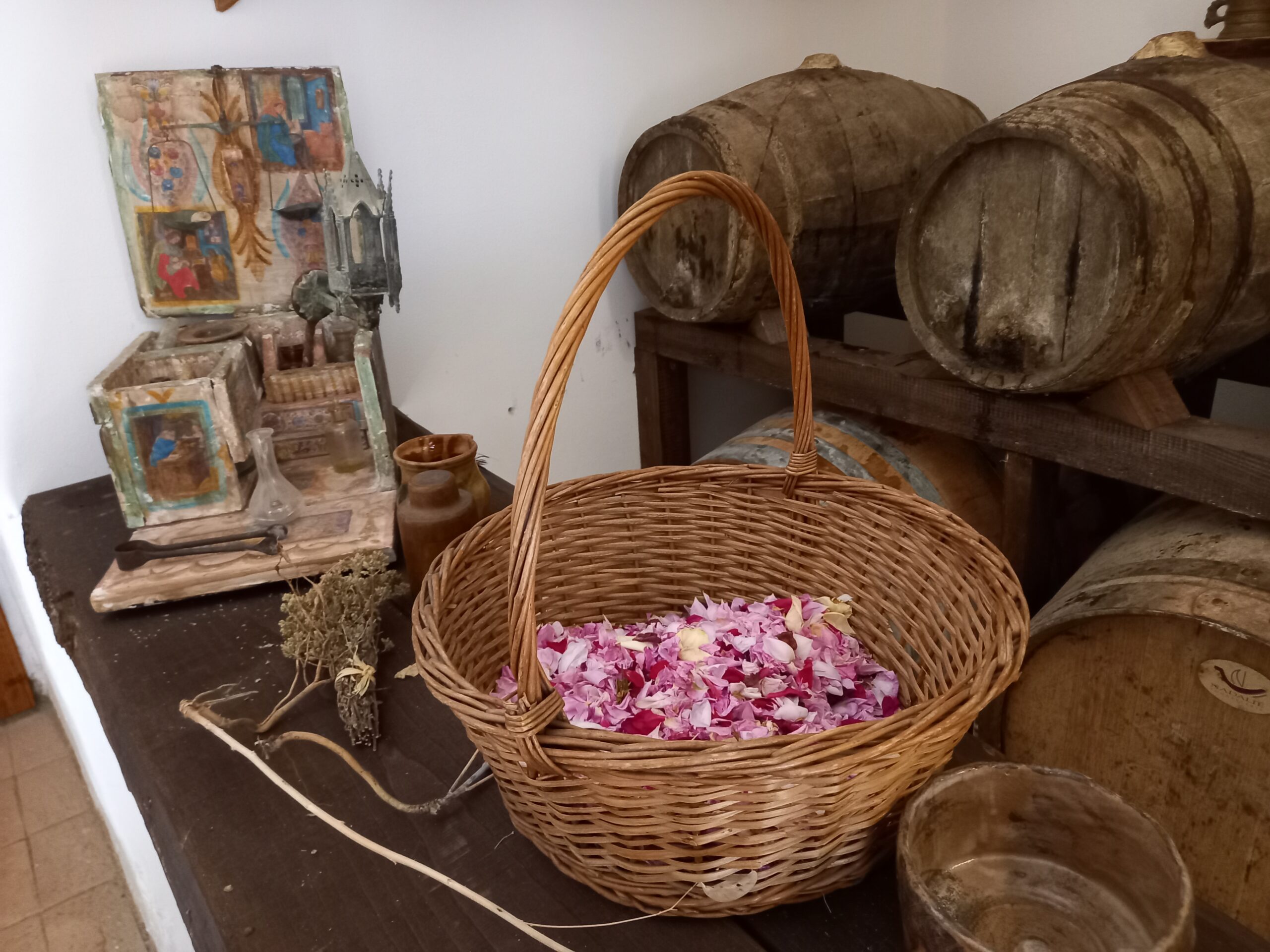 Laboratorio del Vino Cotto